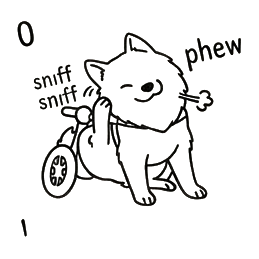 Ringo guiñando